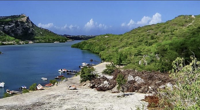 Kustwacht a saca un curpa sin bida for di e mangrovenan na entrada di Piscadera baai