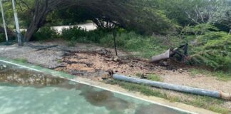 Studiantenan di Universidad di Aruba Conhuntamente cu ArubaDoet y FCCA ta Organisando un Proyecto di Restauracion pa un Bario di FCCA