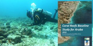 FPNA: E resultado di e estudio di CARMABI no ta sorprendente, pero si mester wordo inclui den nos maneho basa riba evidencia di termino largo.