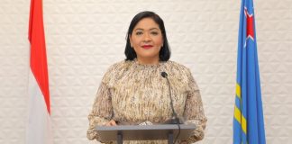 Gasto di Servicio y Producto no a subi cu 43 miyon manera oposicion ta critica