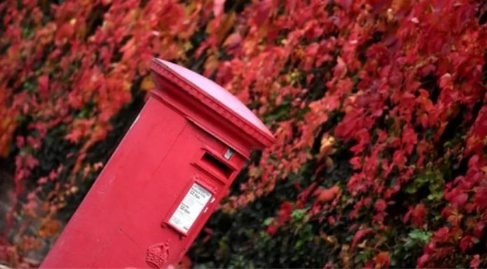 Partidonan di carta halto na pia di trabou, despues di a come brownies di marihuana