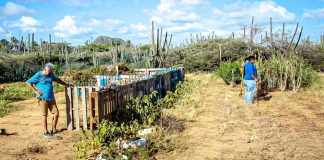 Movemento ta Bida avansando exitosomente cu nan proyecto