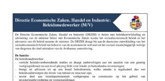 Directie Economische Zaken, Handel en Industrie: Beleidsmedewerker (M/V)