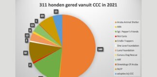 Cifrnan di 2020 y 2021 ta ilustra tanto exito como retonan