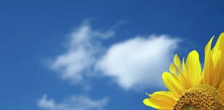 PRONOSTICO DI TEMPO VALIDO TE DIALUNA 07 DI FEBRUARI 2022, 18:00 ORA.