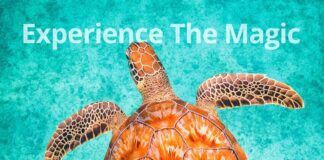 SETAR: Buki di Telefon 2022 ta disponibel