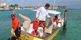 Bo ta subiendo lama mas frecuente: Piscadonan ban tene cuenta cu seguridad riba lama