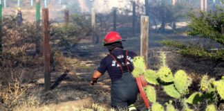 Candela di mondi grandi riba e ex veld di baseball na Sero Preto