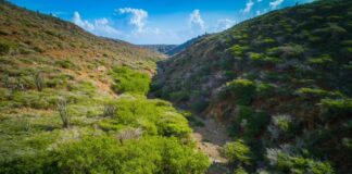 FPNA: Ban celebra nos rikesa natural!