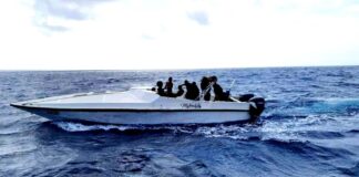 Detencion; Boto cu hende ilegal