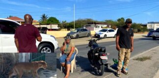 Dama riba scooter ta accidenta pa motibo di cacho los riba caminda