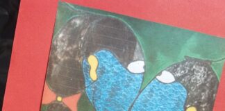 … Buki Gedichten en Muziek van Simson … !!!