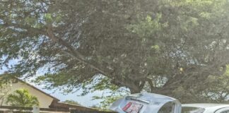 Chauffeur no a regula su velocidad y a bay dal tras di auto na Cura Cabay