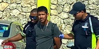 Polis a detene chauffeur cu a nenga ordo di polis pa para, bira onbeschoft y resisti arresto.