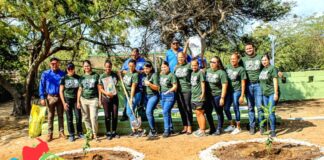 Starbucks cu bunita proyecto na Santa Rosa