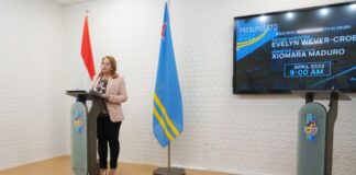 Mediaraad lo ta un Fundacion Independiente pa Duna Conseho y Opinion