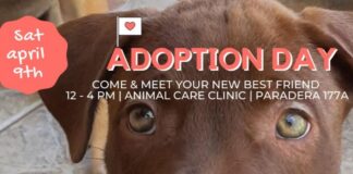 Adopta un Cacho na Luna Foundation