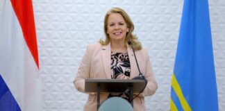 Suspension di Empleado Publico no tin nada di Persecucion Politico