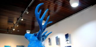 Exposicion ‘Primary colors’