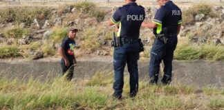 Homber a dwal y a bay drumi den greppel na Hato