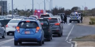 Den auto: Mucha(4) a bira malo y stop di hala rosea