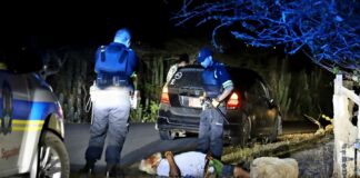 Cabayero drumi banda di caminda bou influencia y malo di salud