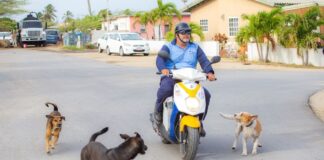 NPSA ta lansa concurso di diseño como simbolo pa programa di conscientisacion