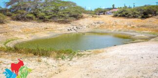 Damnan no tin awa mas: Ban sea creativo pa colecta awa