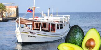 Ta yega ora pa habri frontera pa barco di fruta for di Venezuela pa mitiga aumento di prijs