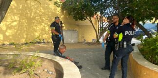 Den menos di 22 ora polis ta bolbe detene e mesun sospechoso pa buracheria publico