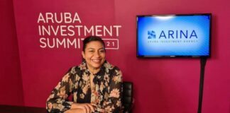 DEZHI Buscando companianan den sector prometedor