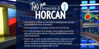 𝐏𝐫𝐞𝐩𝐚𝐫𝐚𝐜𝐢𝐨𝐧 𝐩𝐚 𝐭𝐞𝐦𝐩𝐨𝐫𝐚𝐝𝐚 𝐝𝐢 𝐡𝐨𝐫𝐜𝐚𝐧