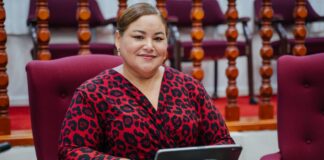 Parlamentario drs. Shailiny Tromp-Lee (MEP): nombracion di e miembronan den COHO y RAft a haya debido atencion den e verslag cu a keda manda Hulanda