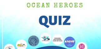Directie Natuur en Milieu (DNM) y Bureau di Minister Arends (Min TINO) cu Quiz #OceanWednesdays y hopi informacion di nos lama y e fundacionnan cu ta percura pa protehe.