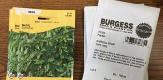 Santa Rosa tin stock nobo di varios producto