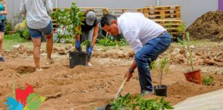 Proyecto “Foodforest” na Scol Prinses Amalia