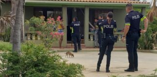 Homber mester a bandona apartamento despues di problema cu su pareha