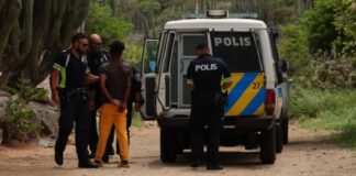 Dos ruman menor di edad deteni: Busca pa Joyriding y tambe a haya municion ariba nan