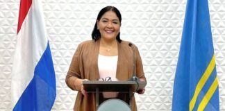 Presupuesto 2023 a bay Raad van Advies pa por haya su conseho