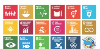 Con bo iniciativa ta contribui pa logra e 17 metanan pa Desaroyo Sostenibel