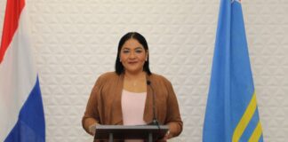 Compara cu Paisnan den region Aruba su gastonan di Servicio y Producto ta cay bao averahe