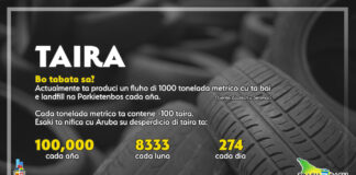 Minister Arends ta anuncia: Lo cuminsa redirigi desperdicio di taira for di Parkietenbos