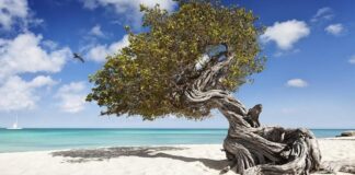 Bon desaroyo; Defecit di 2022 ta mustra un bahada di 227 pa 150 miyon