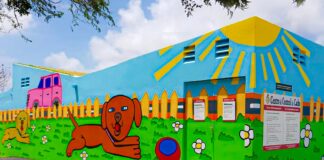 Centro di Control di Cacho cu proyecto piloto di microchipping