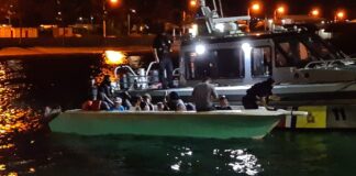 𝗔 𝗜𝗡𝗧𝗘𝗥𝗖𝗘𝗣𝗧𝗔 𝗕𝗢𝗧𝗢 𝗖𝗨 𝟮𝟮 𝗣𝗘𝗥𝗦𝗢𝗡𝗔 𝗜𝗡𝗗𝗢𝗖𝗨𝗠𝗘𝗡𝗧𝗔 𝗖𝗢𝗠𝗢 𝗧𝗔𝗠𝗕𝗘 𝗔𝗡𝗜𝗠𝗔𝗟𝗡𝗔𝗡 𝗘𝗫𝗢𝗧𝗜𝗖𝗢