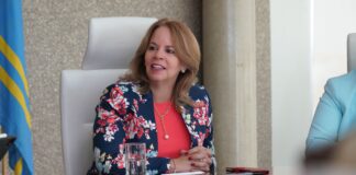 COMMANDANT VAN WIJK A REUNI CU CONSEHO DI MINISTER