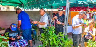 Bin disfruta di nos Mercado Santa Rosa