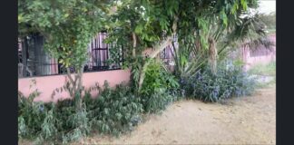 Famia a wordo sorprendi den nan soño… Atraco tipo “inside job” riba cas di famia na Saliña Cerca y a bay cu basta placa