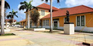 9 aña di prison y tratamento obligatorio den institucion na Hulanda pa Principaal cu a tira mata Sharury