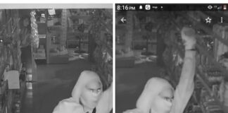 Pareha envolvi den varios atraco y robo ta tras di trali